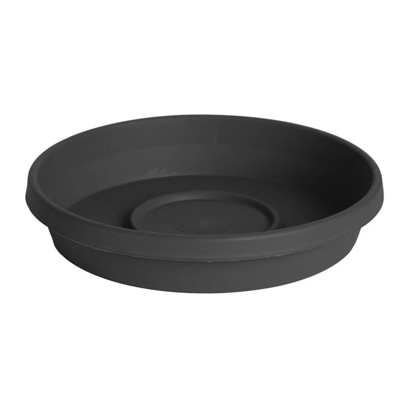Bloem Terra Plastic Saucer, Charcoal, 12 in.