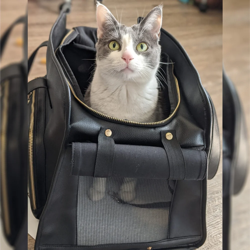 Cosmo, Faux Leather Carrier, 17" - Image 3
