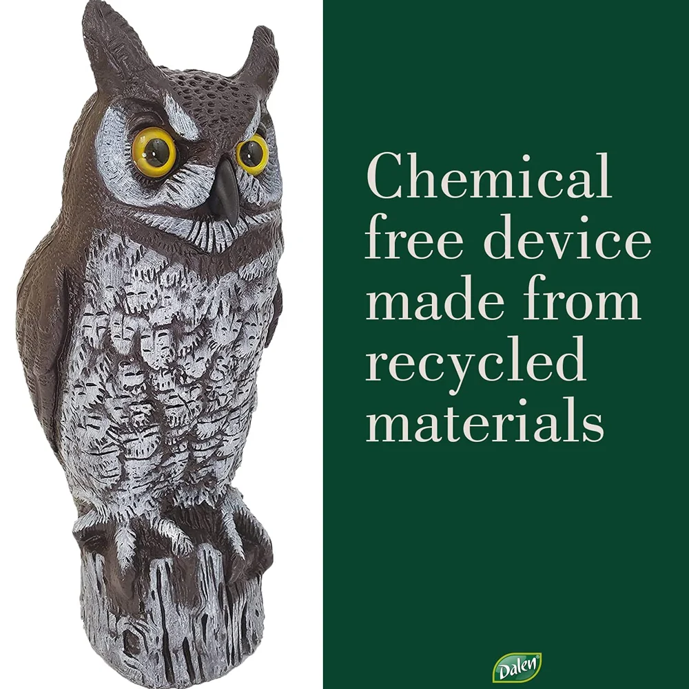 Dalen, 16" Molded Owl - Image 3