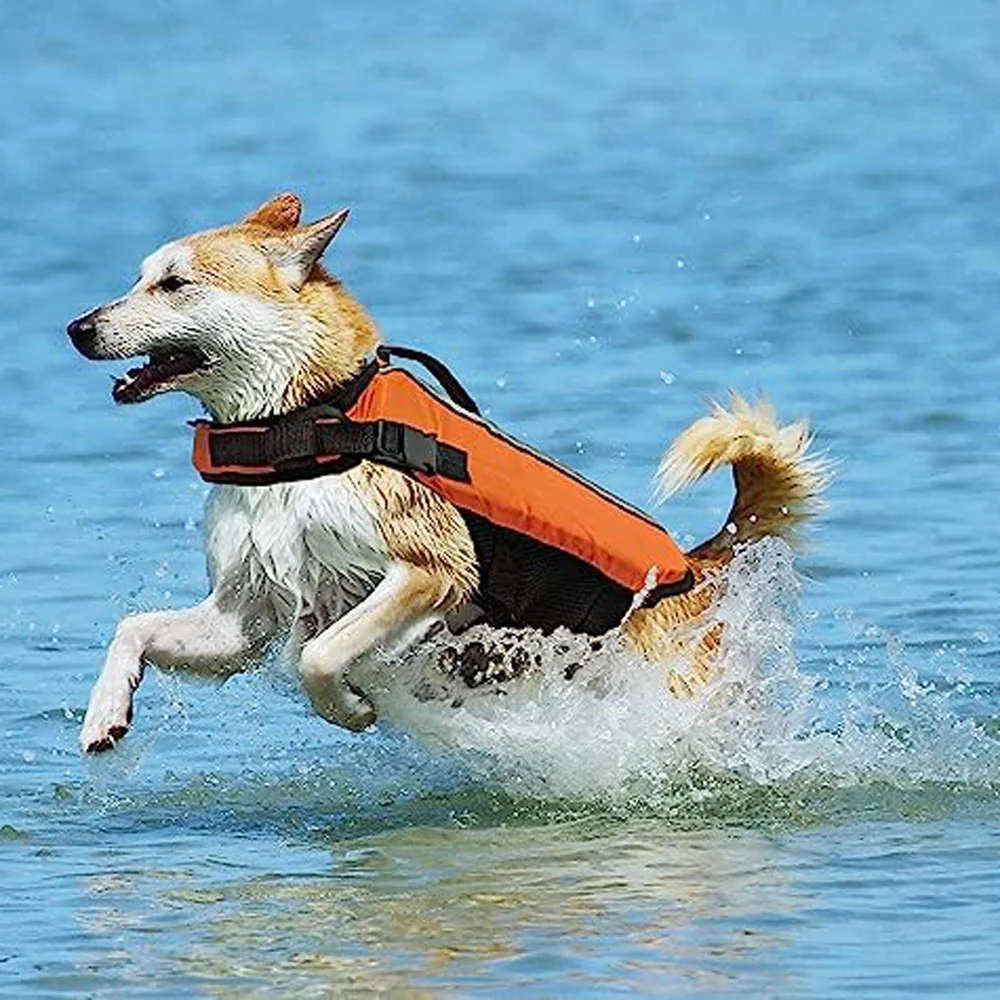 Ethical Pet, Life Vest, Orange - Image 2
