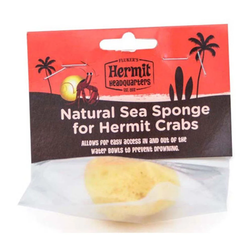 Flaker, Hermit Crab Sea Sponge - Image 2