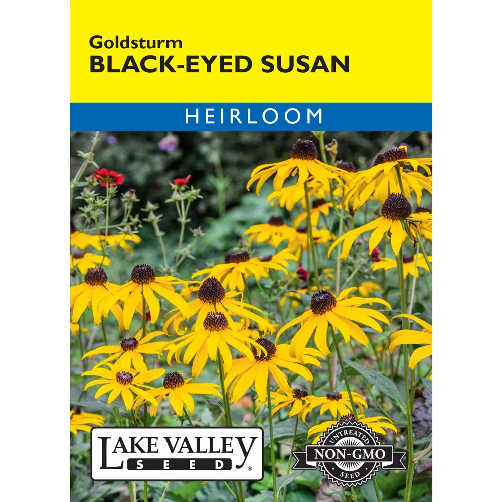 Lake Valley, Black Eyed Susan Goldstrum