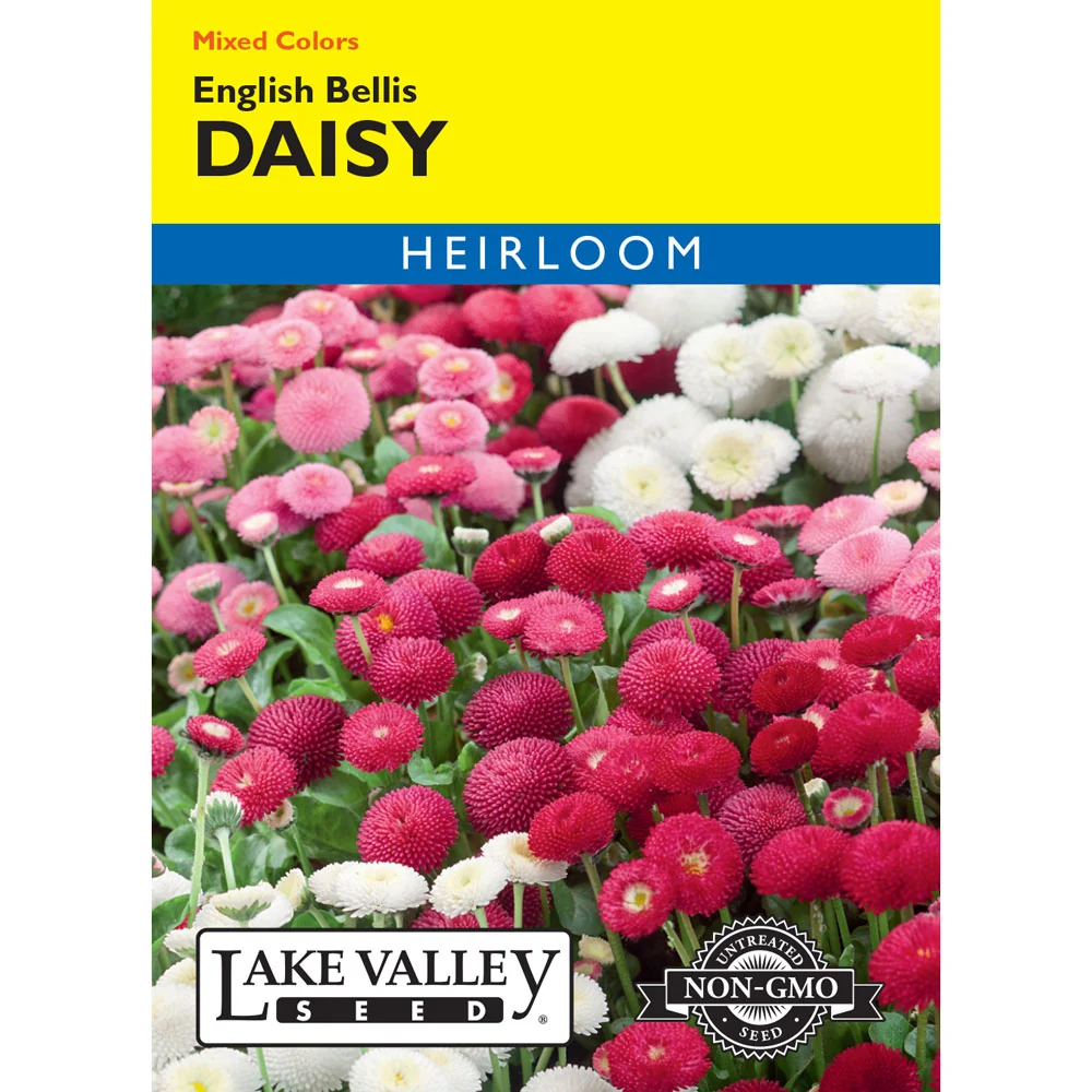 Lake Valley, Daisy English Bells, Mixed Colors