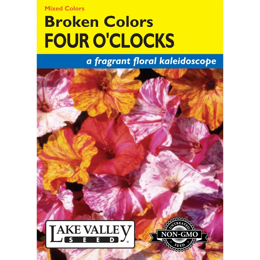 Lake Valley, Four O'Clocks Broken, Mixed Colors