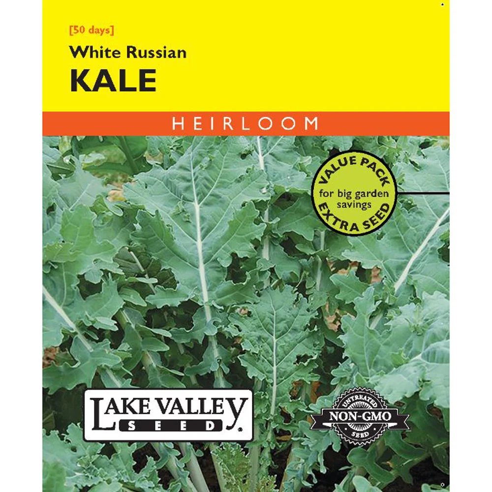 Lake Valley, Kale, Dwarf White Russian