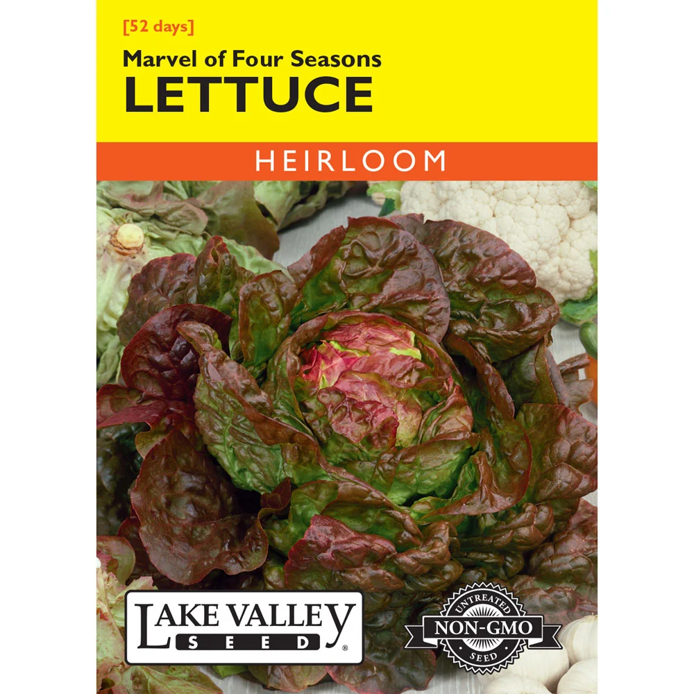Lake Valley, Lettuce, Marvel of Four Seasons