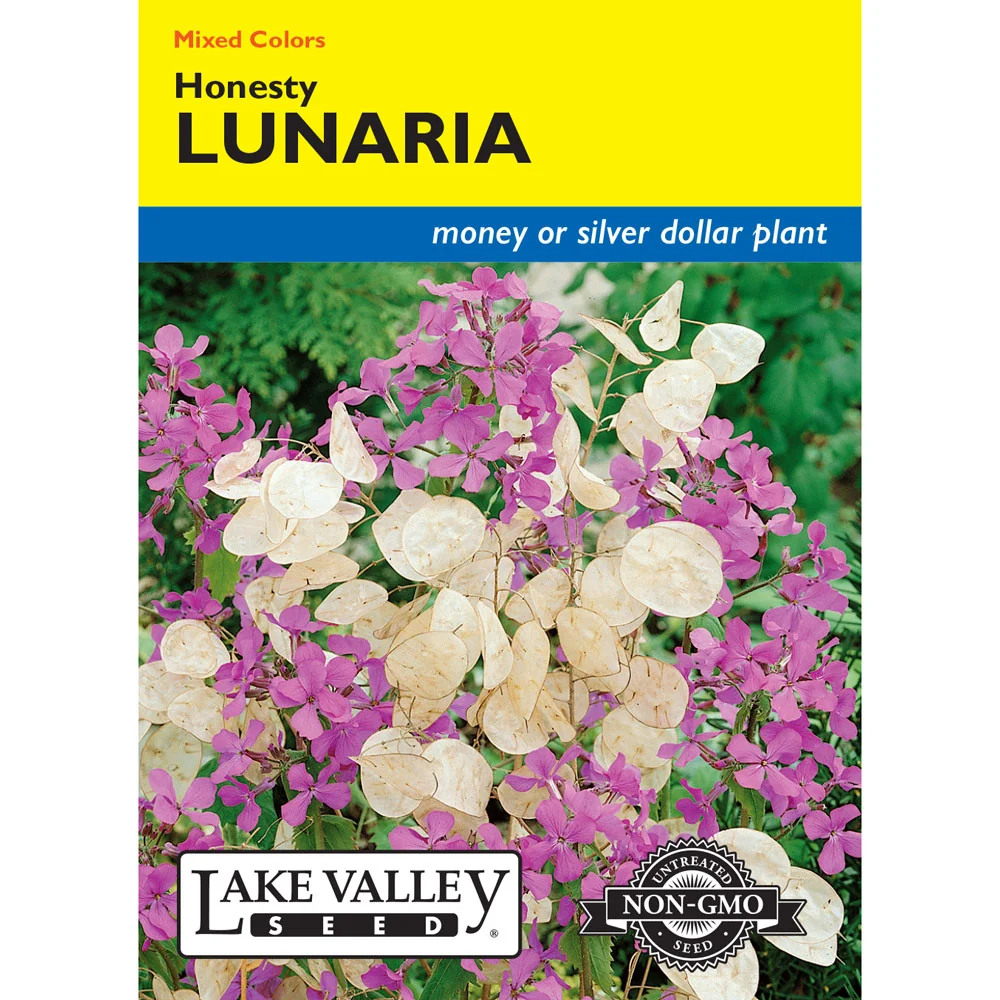 Lake Valley, Lunaria Honesty, Mixed Colors