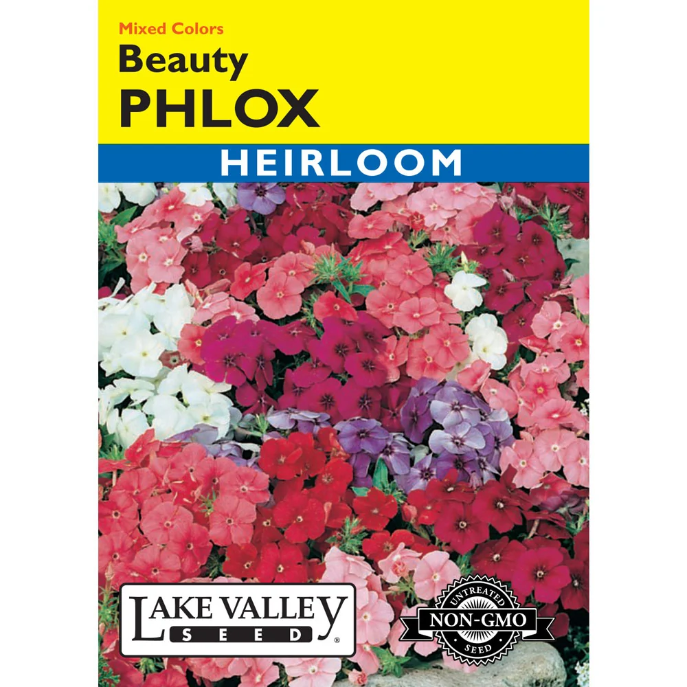 Lake Valley, Phlox Beauty, Mixed Colors
