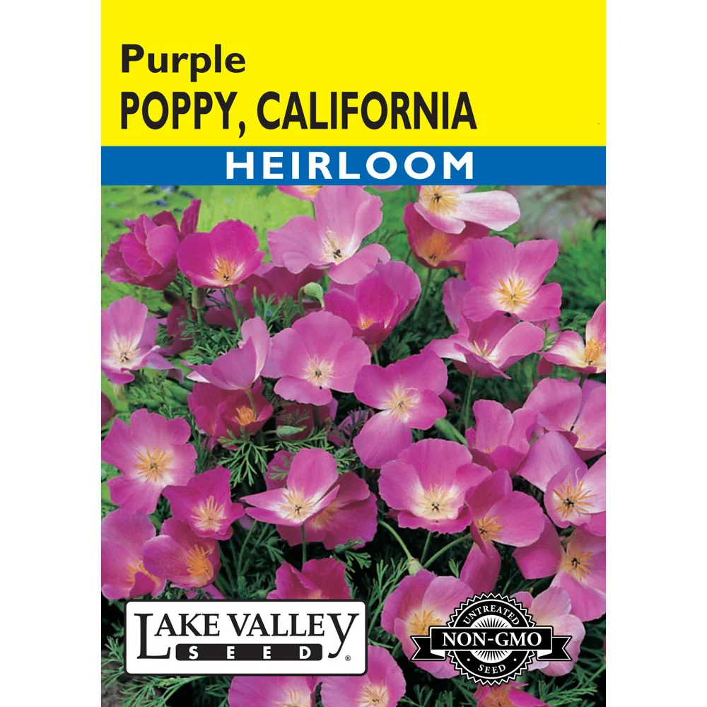 Lake Valley, Poppy California, Purple