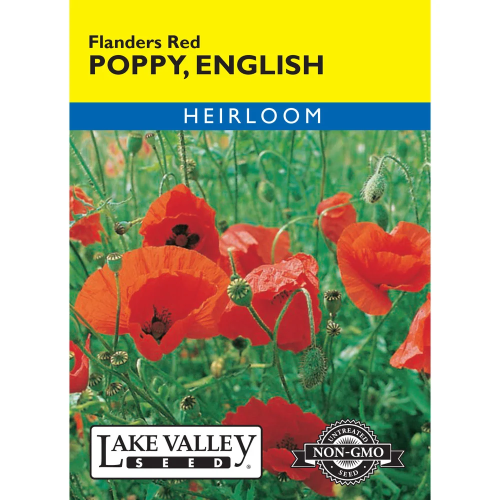 Lake Valley, Poppy English Flanders, Red