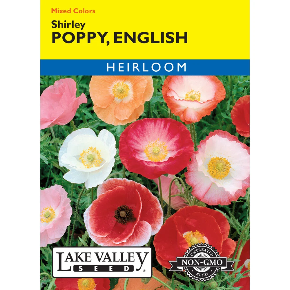 Lake Valley, Poppy English Shirley, Mixed Colors