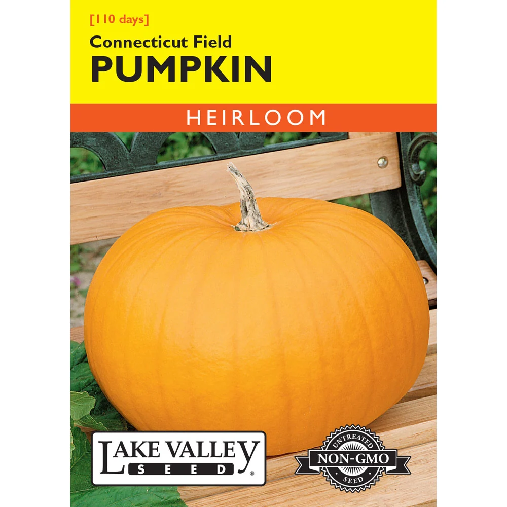 Lake Valley, Pumpkin, Connecticut Field
