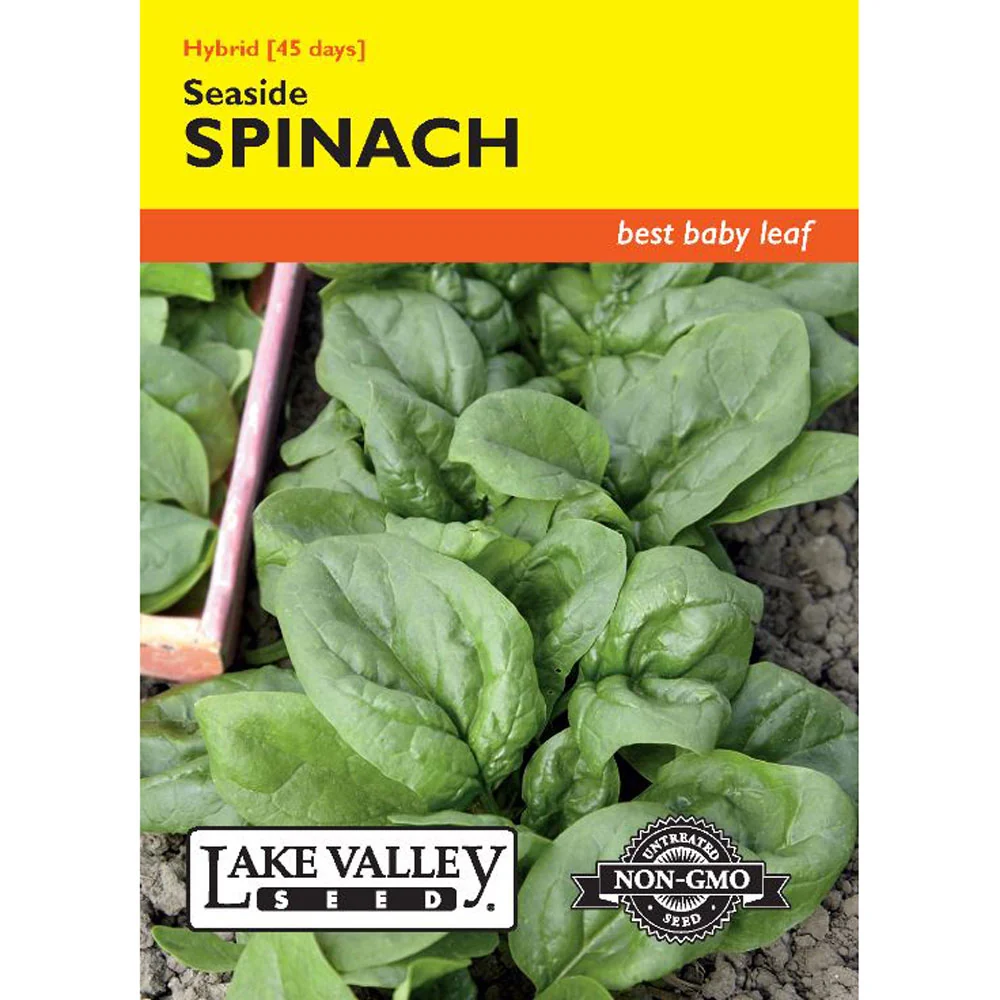 Lake Valley, Spinach, Seaside