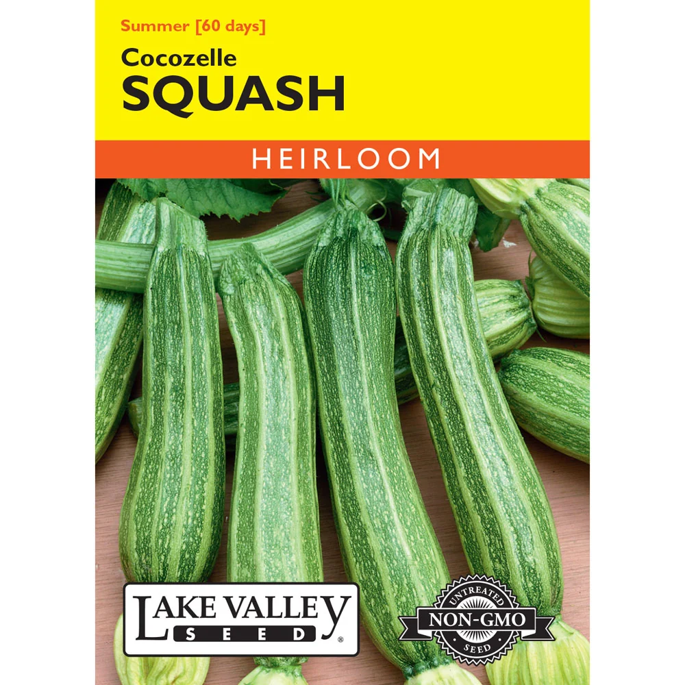 Lake Valley, Squash, (Summer) Cocozelle