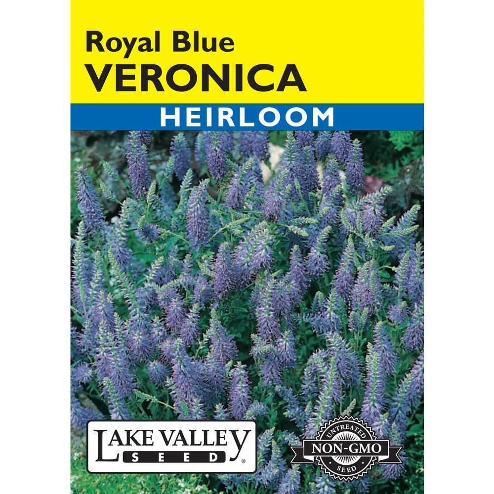 Lake Valley, Veronica, Royal Blue