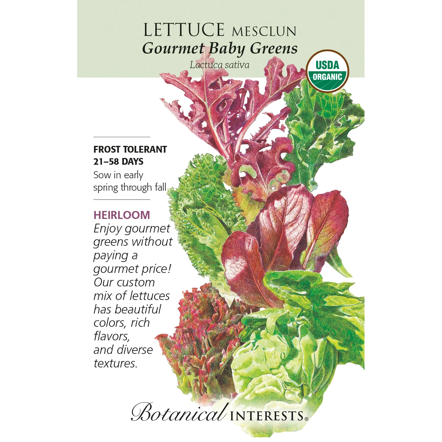 Lettuce, Gourmet Baby Greens Mesclun (Organic) Heirloom Botanical Interests Seeds