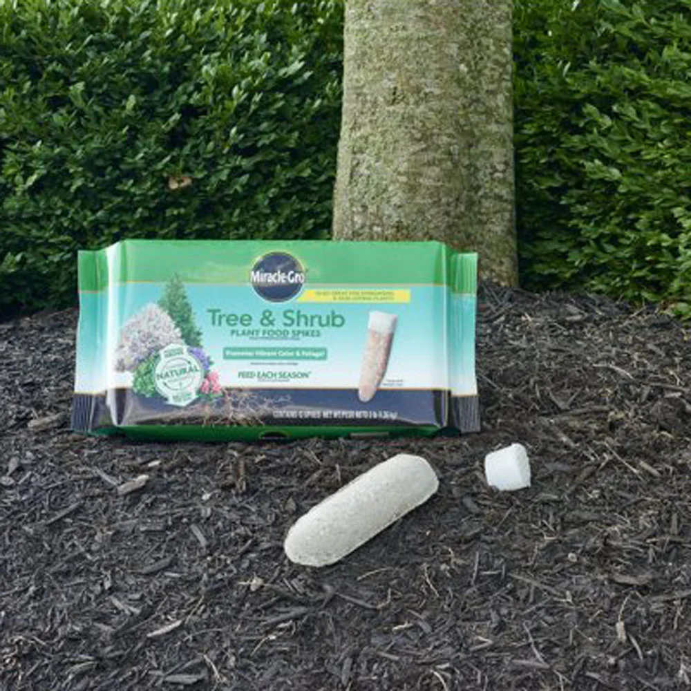 Miracle Gro, Tree & Shrub Spikes, 12pk - Image 2
