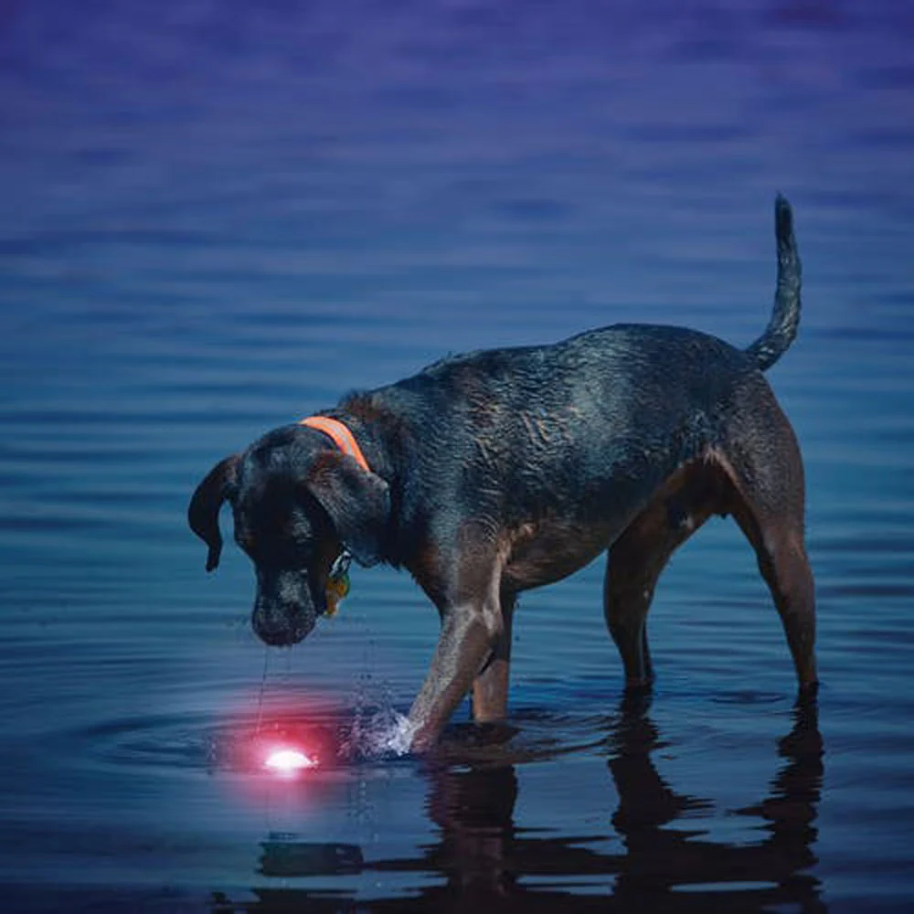 Nite Ize, Glow Streak LED Ball - Image 2