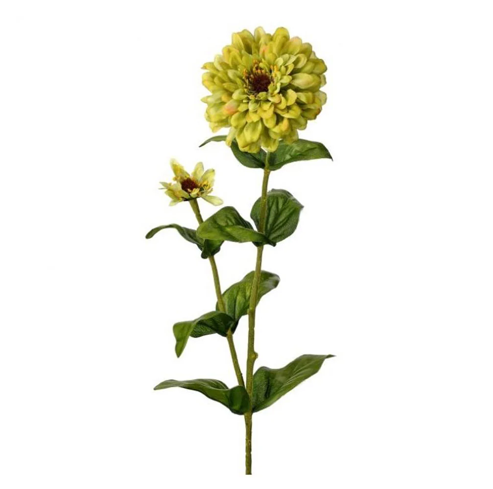 Regency, Garden Zinnia + Bud Stem, Green, 30"