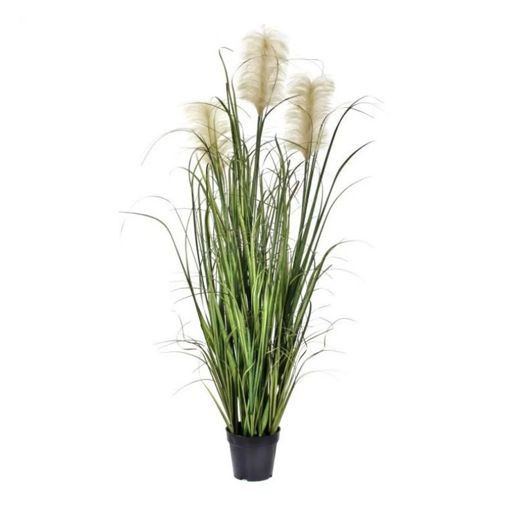 Regency, Potted Nantucket Dunes Grass