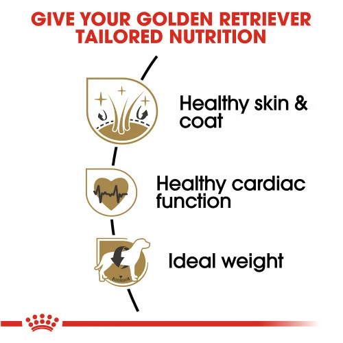 Royal Canin Golden Retriever Adult Dry Dog Food, 30 lb. - Image 3