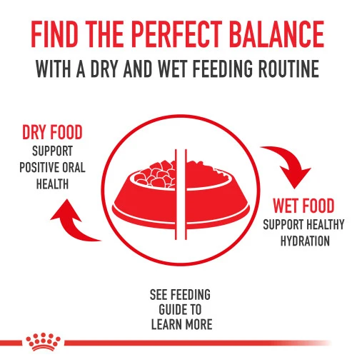 Royal Canin Golden Retriever Adult Dry Dog Food, 30 lb. - Image 5