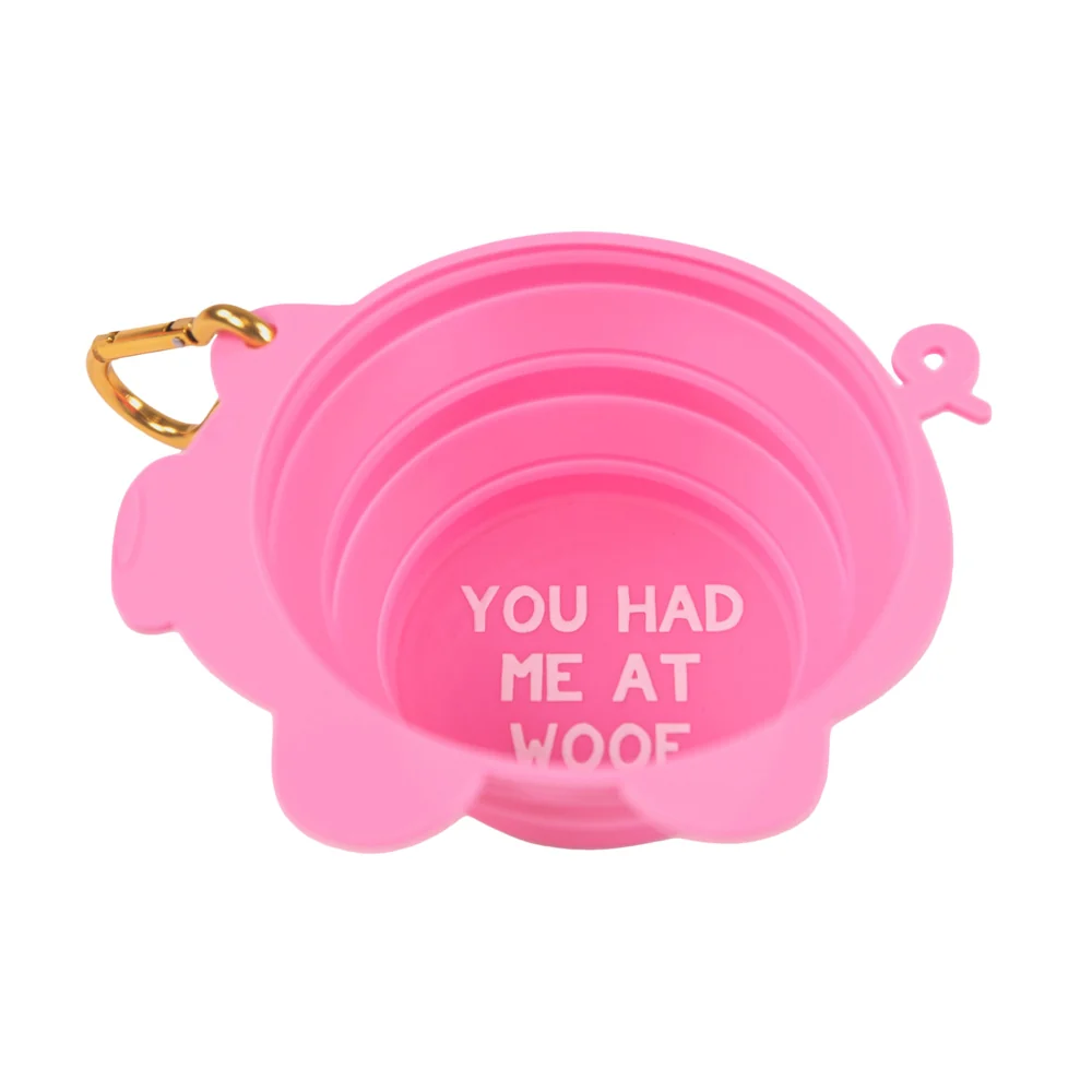 Simply Southern, Collapsible Pet Bowl - Image 4