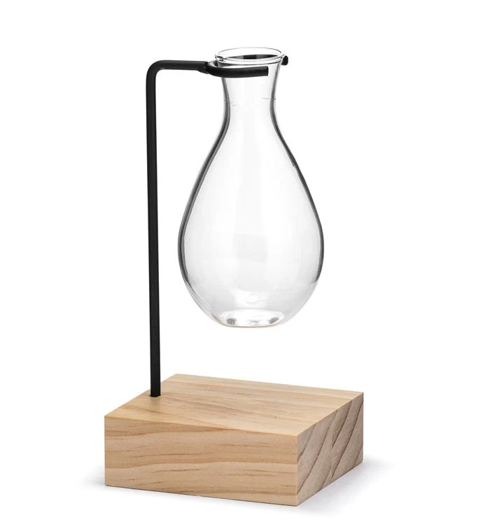Napco - Wire Stake Vase Propagation Stand